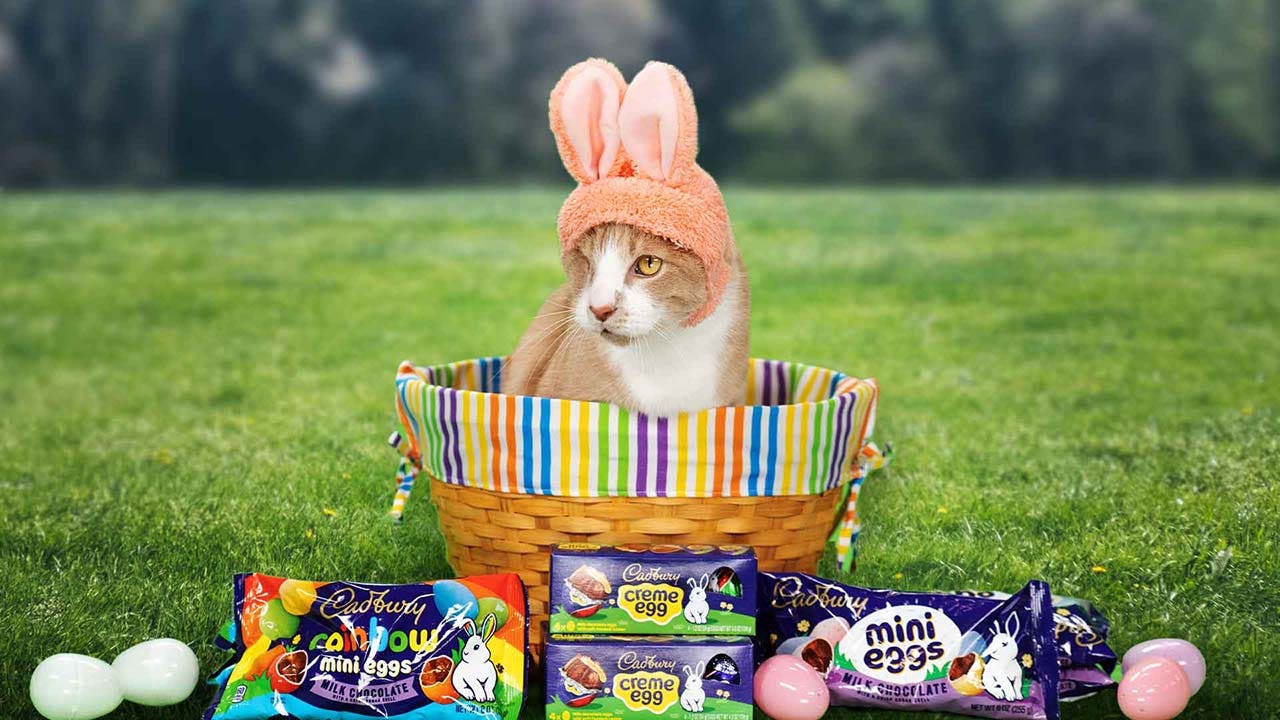 cat inside an easter basket surrounded by cadbury candy and eggs