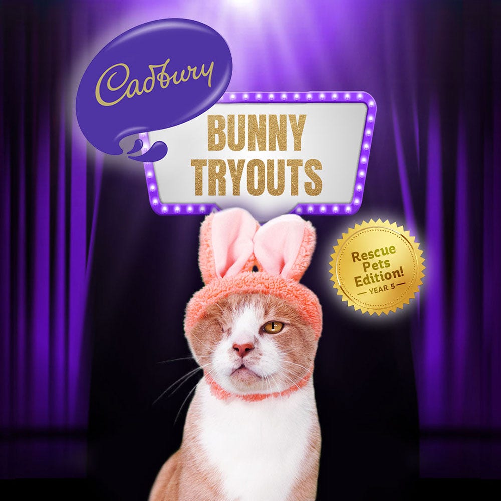 2023 cadbury bunny tryouts winner crash