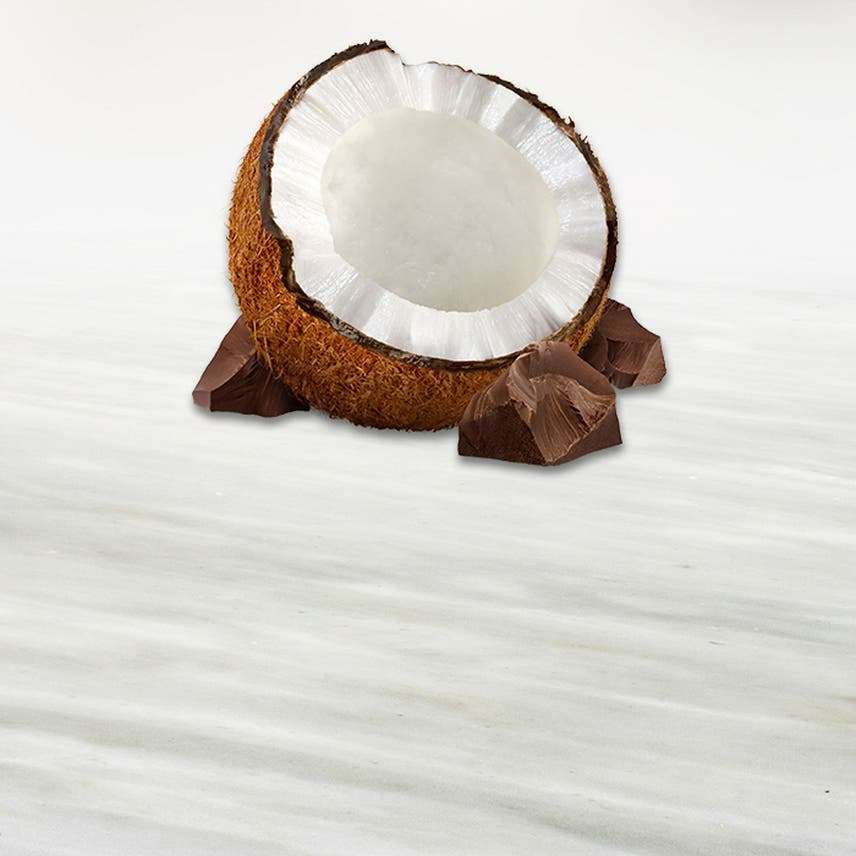 Coconut Iconic Jingle