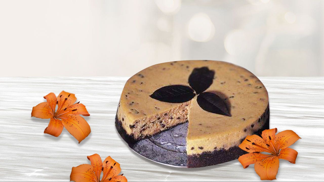 Image of Chocolate Chip Pumpkin Cheesecake
