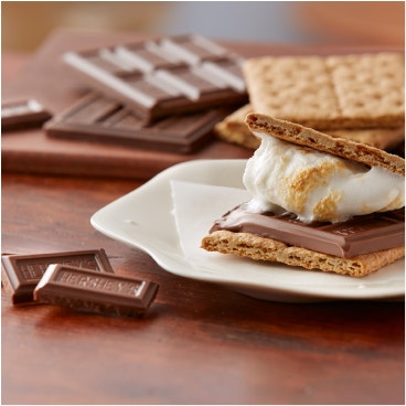 plate of smores surrounded by chocolate and marshmallows