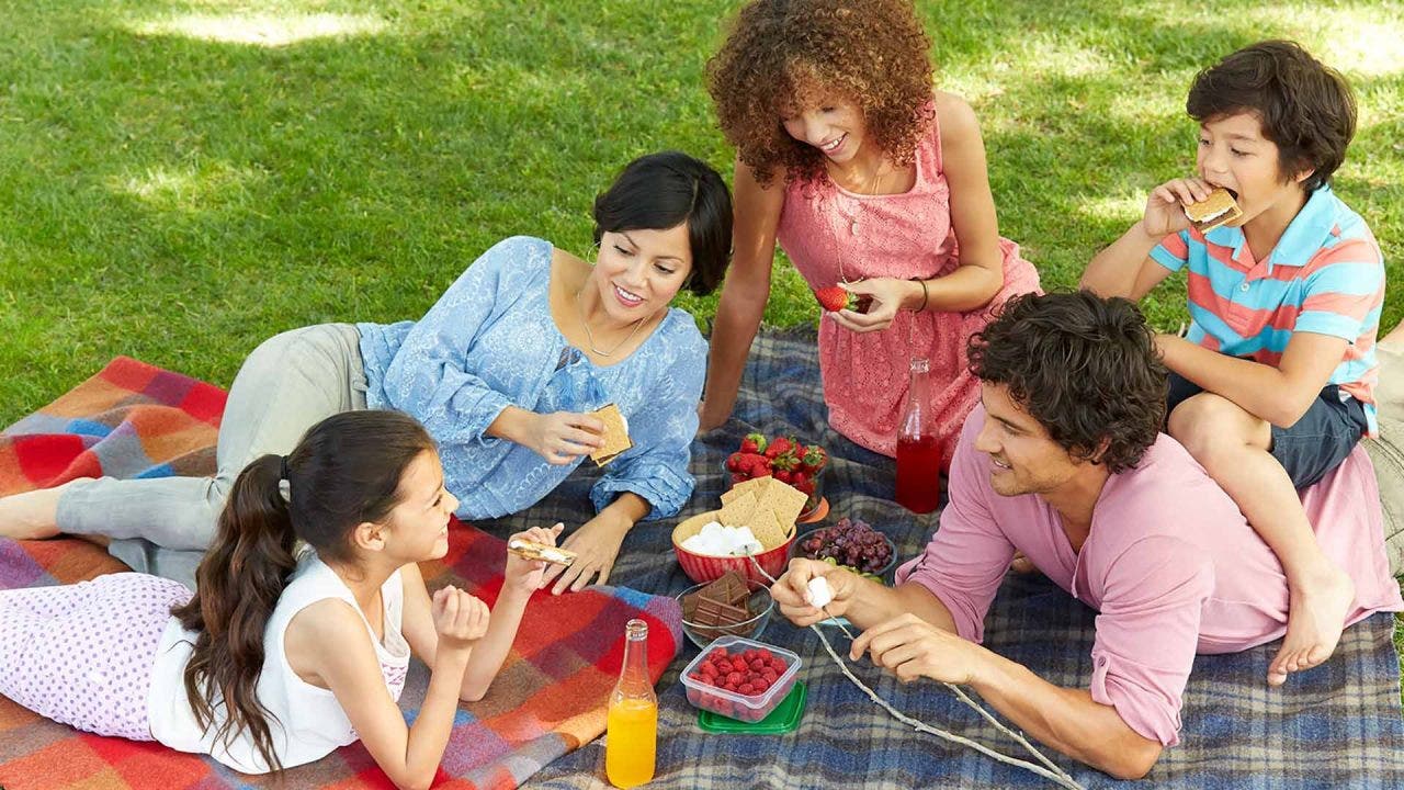 group of people having an outdoor picnic